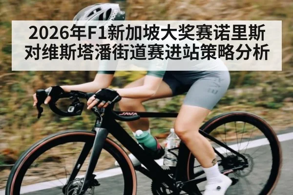 2026年F1新加坡大奖赛诺里斯对维斯塔潘街道赛进站策略分析 | kaiyun